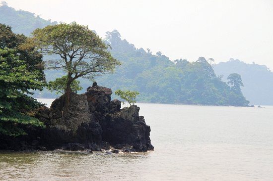 river near botanic garden of limbe