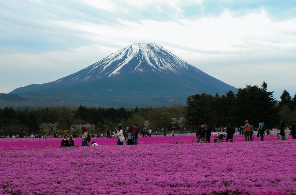 Mount Fuji, 10 Top-rated famous attractions in Japan you need to visit