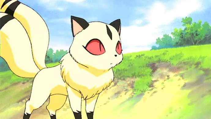 Kirara, 35+ Best Anime Animals in Anime Series and Movies