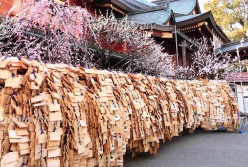 Yushima Tenmangu Shrine