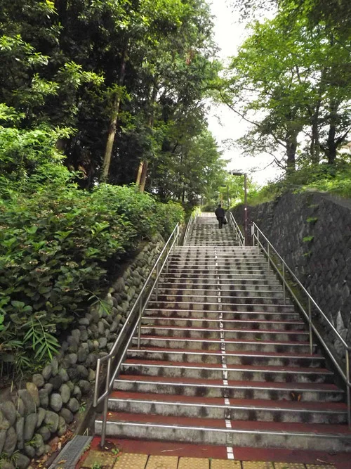 Visiting Whisper of Heart Locations in Tokyo, Japan, Irohazaka Sakura Park