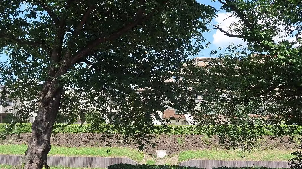 Coerver Football Park, near Musashi-Urawa - Yofukashi no Uta Real life Locations in Japan