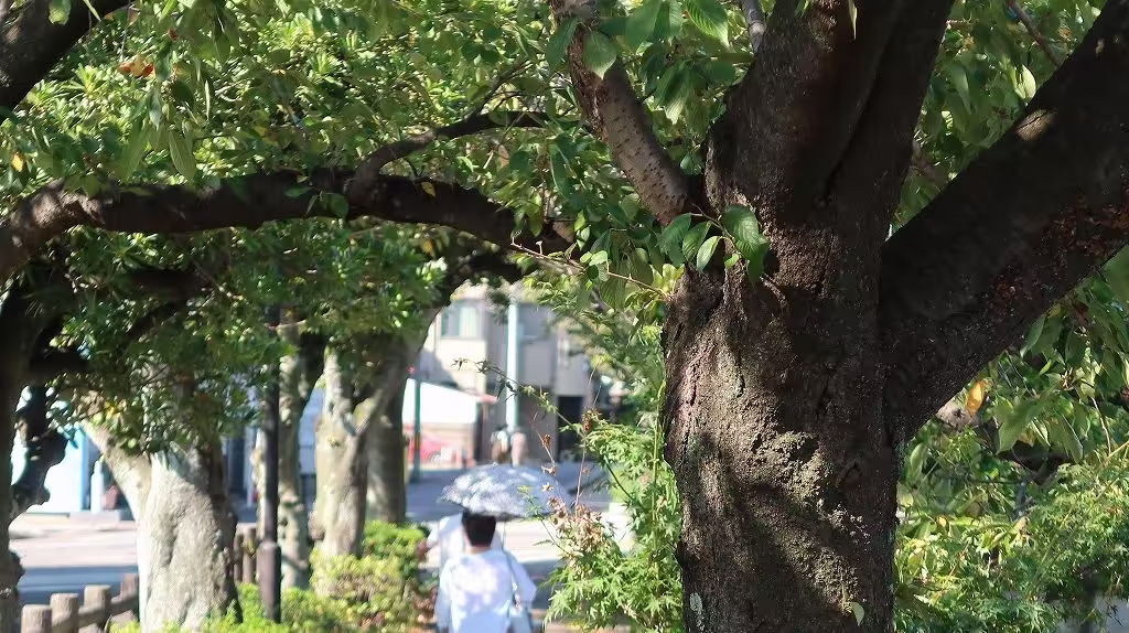 Midori Bridge - A Silent Voice Anime Pilgrimage: Real-Life Locations Inspired by Koe no Katachi