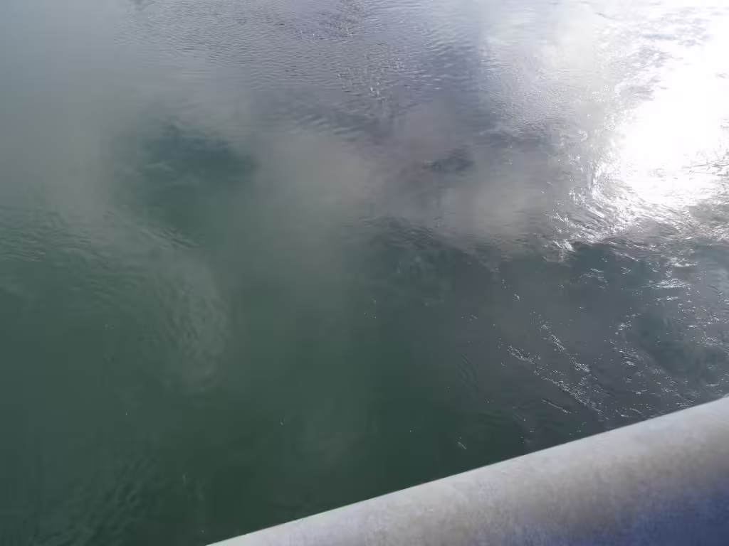 Ibi River - A Silent Voice Anime Pilgrimage: Real-Life Locations Inspired by Koe no Katachi